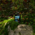 عطر ادکلن ایگل ویژنری سیمون پاریس - Eagle Visionary Simone Paris - بررسی، قیمت و خرید