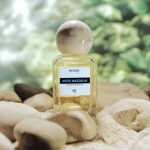 عطر ادکلن ماسک مسالیا میزنار اسنشیالز - Musk Massalia MiZNAR Essencials - بررسی، قیمت و خرید