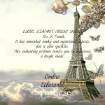 عطر ادکلن امبره اکلاتانت سینتس آتلیر دو پارفوم - Ombre Éclatante Synthèse Atelier de Parfum - بررسی، قیمت و خرید