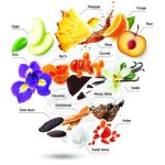 عطر ادکلن آلیدورو آچندیس - Alidoro Accendis - بررسی، قیمت و خرید