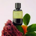عطر ادکلن بِرِزا جِنتیل برونلو کوچینلی - Brezza Gentile Brunello Cucinelli - بررسی، قیمت و خرید