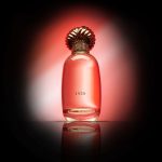 عطر ادکلن هزار و پانصد و بیست امینه - 1520 Ameenah - بررسی، قیمت و خرید