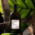 عطر ادکلن بوا دو مانگرو صد بون - Bois de Mangrove 100 Bon - بررسی، قیمت و خرید
