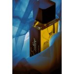 عطر ادکلن اینـتایس ایلی‌روما - Entice Ayliroma - بررسی، قیمت و خرید