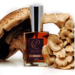 عطر ادکلن ایندولیس پروویدنس پرفیوم کو - Indolice Providence Perfume Co. - بررسی، قیمت و خرید
