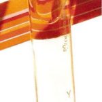 عطر ادکلن ای ناتورا - Y Natura - بررسی، قیمت و خرید