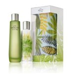 عطر ادکلن پرفکت دی آن مِلر - Perfect Day Anne Möller - بررسی، قیمت و خرید