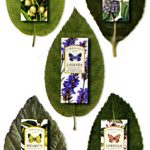 عطر ادکلن برگاموتو لربولاریو - Bergamotto L'Erbolario - بررسی، قیمت و خرید
