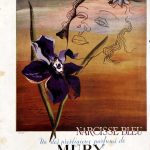 عطر ادکلن ل نارسيس بلو مری پاریس - Le Narcisse Bleu Mury Paris - بررسی، قیمت و خرید