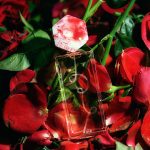 عطر ادکلن نوپ رویک - KNOP RUIK - بررسی، قیمت و خرید