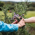 عطر ادکلن موگا بروانوناریز - Muga Bravanariz - بررسی، قیمت و خرید