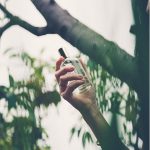 عطر ادکلن روکو \دِد کُل\ - Rocco (Mint) DedCool - بررسی، قیمت و خرید