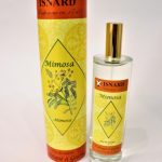 عطر ادکلن میموسا ایزنارد - Mimosa Isnard - بررسی، قیمت و خرید