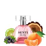 عطر ادکلن سنتی بلوم دلیس پرفیوم - Senti #Bloom Dilís Parfum - بررسی، قیمت و خرید