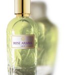 عطر ادکلن رُز عربیا لیلی ویدیان - Rose Arabia Lily WIDIAN - بررسی، قیمت و خرید