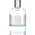 عطر ادکلن بیک اسکای اَبِت نیویورک سیتی - Big Sky Abbott New York City - بررسی، قیمت و خرید