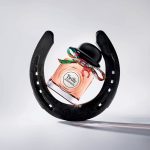 عطر ادکلن چارمینگ توییلی دِ هرمس اِرمیس - Charming Twilly d'Hermès Hermès - بررسی، قیمت و خرید