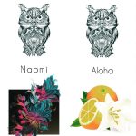 عطر ادکلن نایومی ساپیِنتیای نیچه - Naomi Sapientiae Niche - بررسی، قیمت و خرید