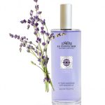عطر ادکلن لاواندولا هیبرید لو شاتلارد ۱۸۰۲ - Lavandula Hybrida Le Chatelard 1802 - بررسی، قیمت و خرید