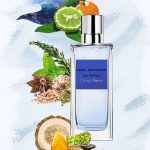 عطر ادکلن او فرش سیترس مارینو انجل اسلسر - Eau Fraîche Citrus Marino Angel Schlesser - بررسی، قیمت و خرید