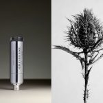 عطر ادکلن رپلیکیتد وود کور ولوَتیل - Replicated Wood Corps Volatils - بررسی، قیمت و خرید