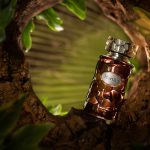 عطر ادکلن ورساژ مارتین ورسای - Versailles Martian Versailles - بررسی، قیمت و خرید