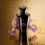 عطر ادکلن ولوت اکسکلوسیو یودورا - Velvet Exclusive Eudora - بررسی، قیمت و خرید