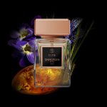 عطر ادکلن اکلیپس شوران - Eclipse Shauran - بررسی، قیمت و خرید