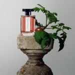 عطر ادکلن وتیور اکارلات ل آرتیزان پارفومر - Vétiver Écarlate L'Artisan Parfumeur - بررسی، قیمت و خرید