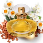 عطر ادکلن لیلی له پارفوم اُ بوتیکاریو - Lily Le Parfum O Boticário - بررسی، قیمت و خرید