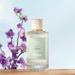 عطر ادکلن ویولت کلوئه - Violette Chloé - بررسی، قیمت و خرید