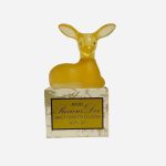 عطر ادکلن پرشس دو ایوون - Precious Doe Avon - بررسی، قیمت و خرید