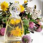 عطر ادکلن نازارنو نزارنو گابریلی - Nazareno Nazareno Gabrielli - بررسی، قیمت و خرید