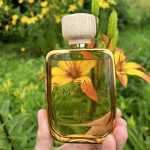 عطر ادکلن سی میموسا گس بیجو - Sea Mimosa Gas Bijoux - بررسی، قیمت و خرید