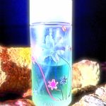 عطر ادکلن وایلد فلاورز تاچ آف بلو پرفیوم د فدورا - Wild Flowers Touch of Blue Parfums de Fedora - بررسی، قیمت و خرید