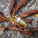 عطر ادکلن آتم 23 فرن - Autumn 23 Ffern - بررسی، قیمت و خرید