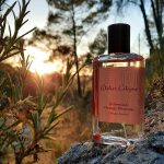 عطر ادکلن بوهمین اورنج بلاسِم آتیلیه کلن - Bohemian Orange Blossom Atelier Cologne - بررسی، قیمت و خرید