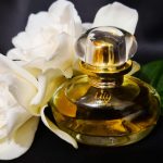 عطر ادکلن لیلی له پارفوم اُ بوتیکاریو - Lily Le Parfum O Boticário - بررسی، قیمت و خرید