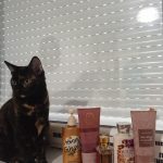 عطر ادکلن وایلد ماداگاسکار وانیلا بث اند بادی ورکس - Wild Madagascar Vanilla Bath & Body Works - بررسی، قیمت و خرید