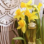 عطر ادکلن لایرا آلن دلون - Lyra Alain Delon - بررسی، قیمت و خرید
