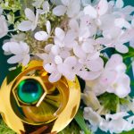 عطر ادکلن دلیکیت الحرمین پرفیومز - Delicate Al Haramain Perfumes - بررسی، قیمت و خرید
