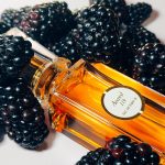 عطر ادکلن اکورد ۱۱۹ کَرون - Accord 119 Caron - بررسی، قیمت و خرید