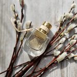 عطر ادکلن نوماد او د تویلت کلوئه - Nomade Eau de Toilette Chloé - بررسی، قیمت و خرید