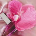 عطر ادکلن فوربیدن یوفوریا کلوین کلاین - Forbidden Euphoria Calvin Klein - بررسی، قیمت و خرید