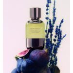 عطر ادکلن سوفیو زِنی برونلو کوچینلی - Soffio Zenit Brunello Cucinelli - بررسی، قیمت و خرید