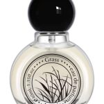 عطر ادکلن گراس اینور - Grass 青草 Aynoir 安喏 - بررسی، قیمت و خرید