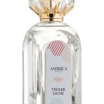 عطر ادکلن ترزور کاشه امیریوس - Trésor Caché Amirius - بررسی، قیمت و خرید
