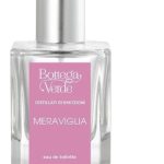 عطر ادکلن مراویگلیا بوتگا ورده - Meraviglia Bottega Verde - بررسی، قیمت و خرید