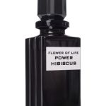 عطر ادکلن فلاور آو لایف پاور هیبیسکوس آرتمیزیا - Flower of life Power HIBISCUS Artenisia - بررسی، قیمت و خرید