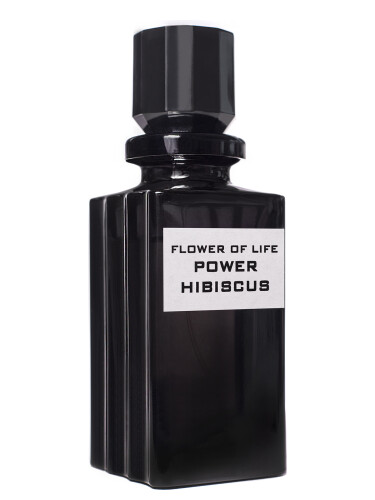 عطر ادکلن فلاور آو لایف پاور هیبیسکوس آرتمیزیا - Flower of life Power HIBISCUS Artenisia - بررسی، قیمت و خرید